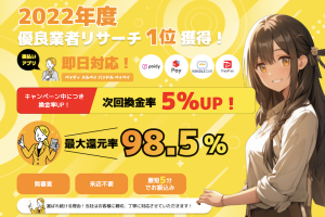 クイックマネープラス