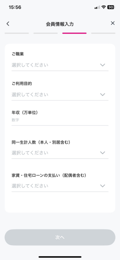ペイディプラス 属性入力